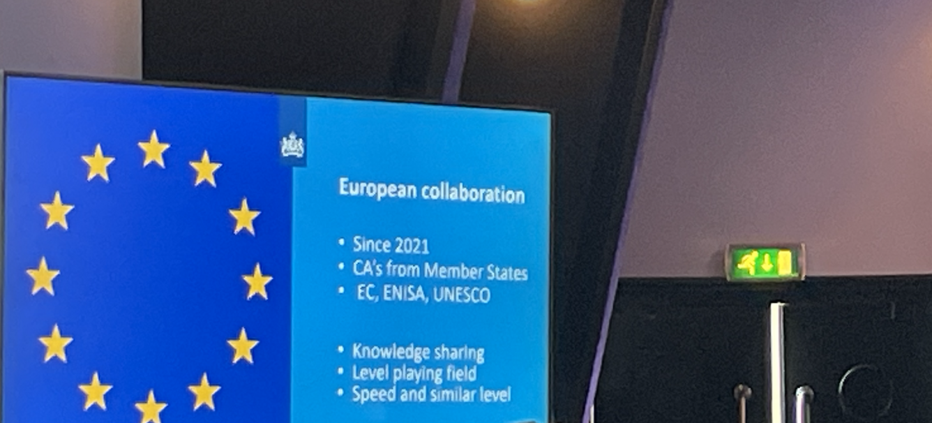 European flag on slide